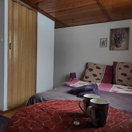Home Stay Slotwinska Криница-Здруй Екстериор снимка
